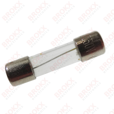 1 A (F) 250 V 5 x 20 mm fast