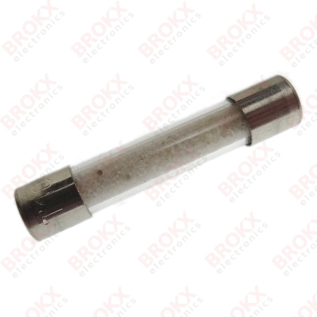 10 A (T) 250 V 6,3 x 32 mm traag