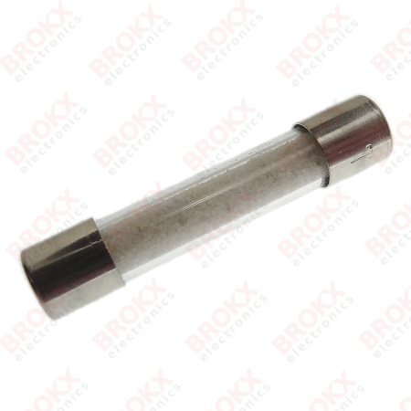 6.3 A (T) 250 V 6.3 x 32 mm slow