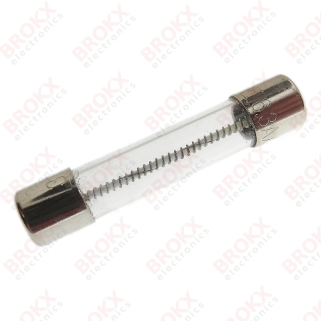 6,3 A (T) 250 V 6,3 x 32 mm traag