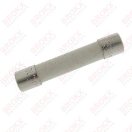 15 A (F) 250 V 6,3 x 32 mm snel