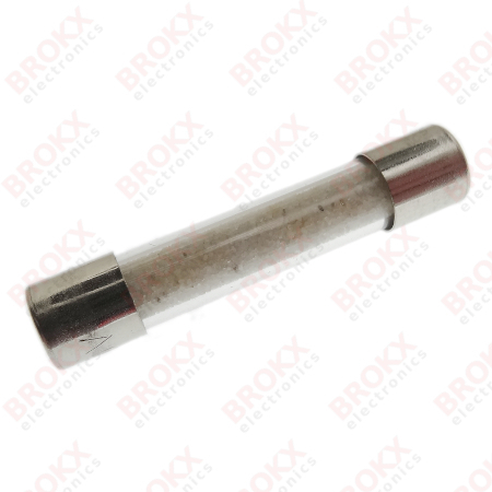 4 A (T) 250 V 6,3 x 32 mm traag