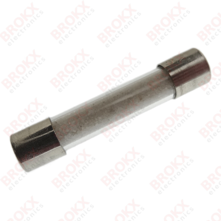 20 A (T) 250 V 6,3 x 32 mm traag