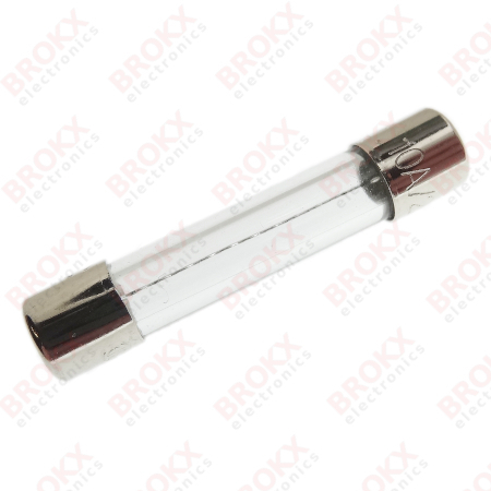 10 A (F) 250 V 6,3 x 32 mm snel