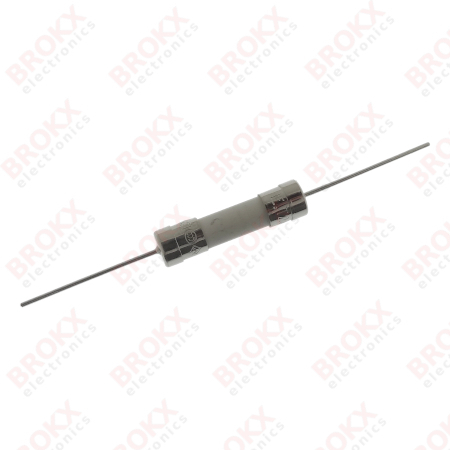 2 A (T)  250 V 5 x 20 mm traag bedraad