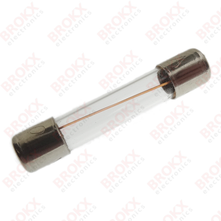 10 A 250 V 6,3 x 32 mm