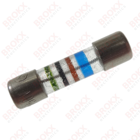 500 mA (T) 250 V 5 x 20 mm traag