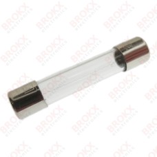 1 A (F) 250 V 6,3 x 32 mm snel