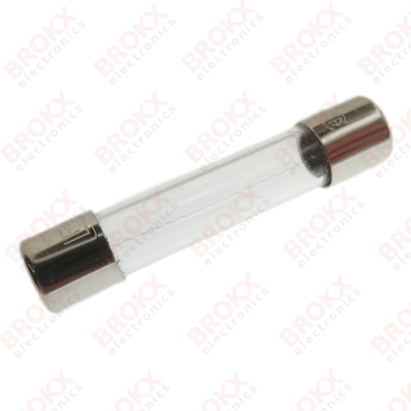 1 A (F) 250 V 6,3 x 32 mm snel
