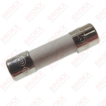 1,25 A (T) 250 V 5 x 20 mm traag