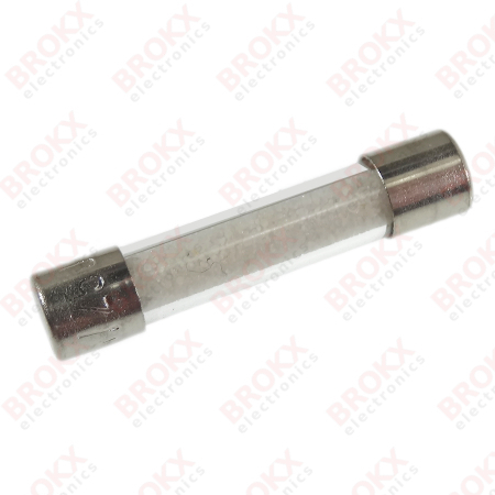 1,6 A (F) 250 V 5 x 25 mm snel