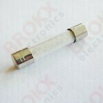 1,6 A (F) 250 V 5 x 25 mm snel