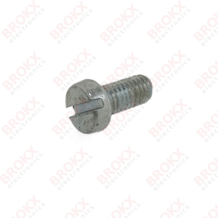 M5 x 10 Metal screw slotted galvanized