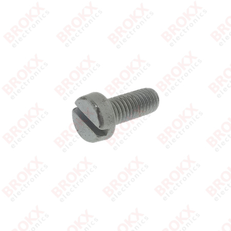 M5 x 12 Metal screw slotted galvanized