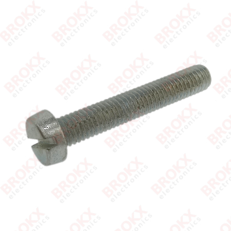 M5 x 30 Metal screw slotted galvanized