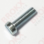 M6 x 20 Metal screw slotted galvanized