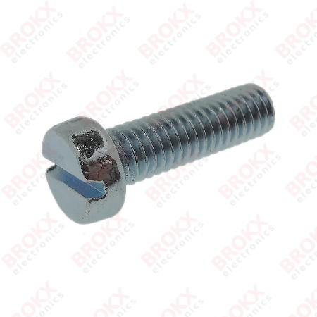 M6 x 20 Metal screw slotted galvanized - Click Image to Close