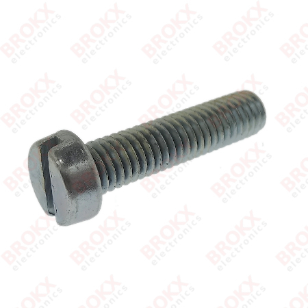 M6 x 25 Metal screw slotted galvanized - Click Image to Close