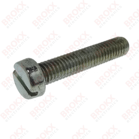 M6 x 30 Metal screw slotted galvanized - Click Image to Close