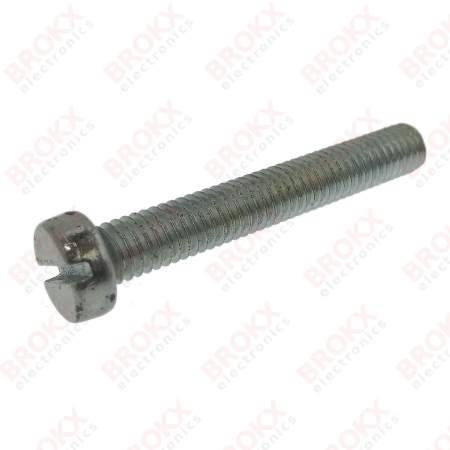 M6 x 40 Metal screw slotted galvanized - Click Image to Close