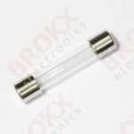 2,5 A (F) 250 V 6 x 32 mm snel