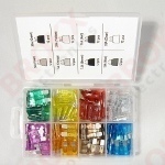 Assortiment 19 mm steekzekeringen