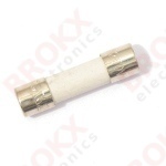 8 A (F) 250 V 5 x 20 mm snel