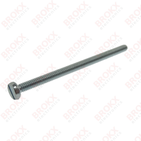 M2 x 30 Metal screw slotted galvanized