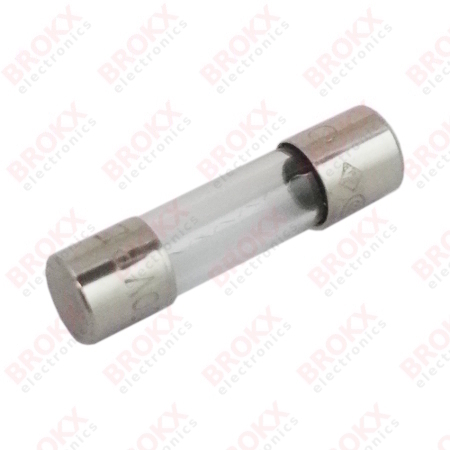 1,25 A (F) 250 V 5 x 20 mm snel