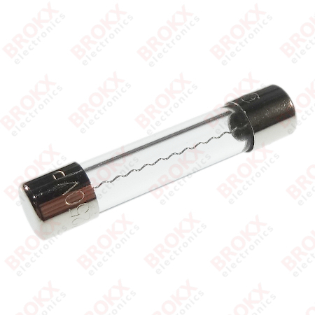 10 A (F) 250 V 6 x 32 mm snel