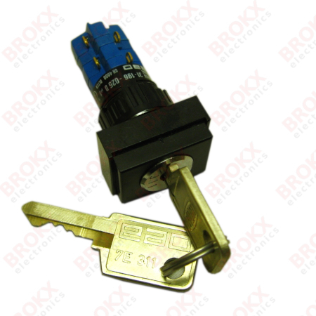 Keylock Switch 2 NO / 2 NC